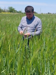 На сельхозполях Дагестана идет борьба с вредителями будущего урожая 