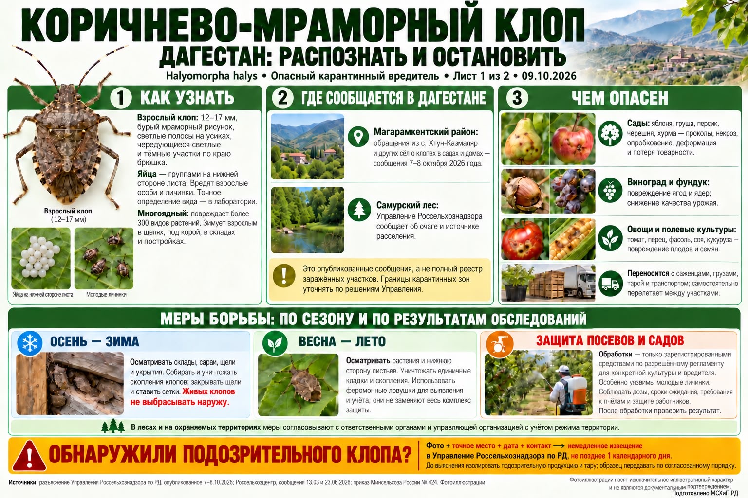Осторожно - клопы!